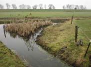 Vooral stekelbaarzen en jonge witvis maken hiervan gebruik. Rechtsboven: slootkruising in de Krimpenerwaard. Zuid-Hollandslandschap heeft een verbreding aangebracht.