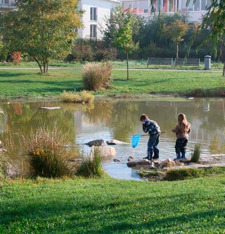 InterRio stelt dat rioolbeheer en regenwaterbeheer inherent verbonden zijn met wegbeheer en met het beheer van de publieke ruimte. Dit zijn bij uitstek taken voor het gemeentelijk bestuursniveau.