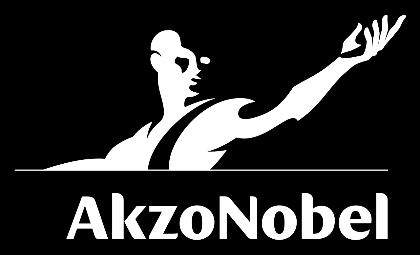 COMMON DRAFT TERMS OF THE LEGAL DEMERGER OF THE SPECIALTY CHEMICALS BUSINESS of Akzo Nobel N.V.