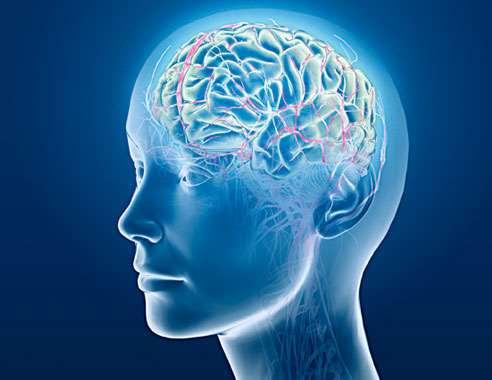 Hersenletsel als oorzaak Hersenen moeten harder werken om hetzelfde voor elkaar te krijgen 1. Direct op gebieden die met energie/arousal te maken Sneller hebbenmoe en langer nodig om te herstellen 2.
