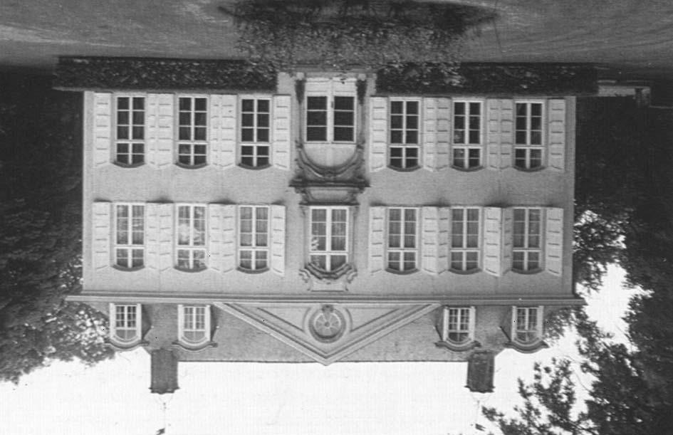 De Tanghof, boven: voorgevel, links: detail