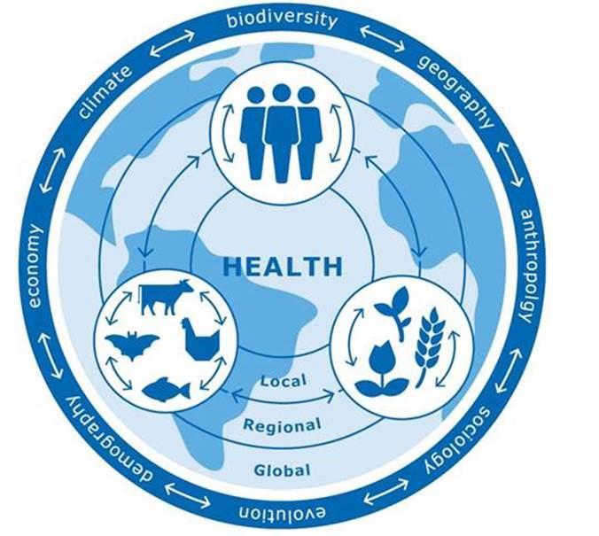 1. Global One Health