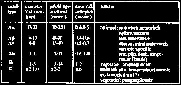 beschreven vezeltypen hun eigen karakteristieken, zoals prikkelbaarheid, geleidingssnelheid etc.