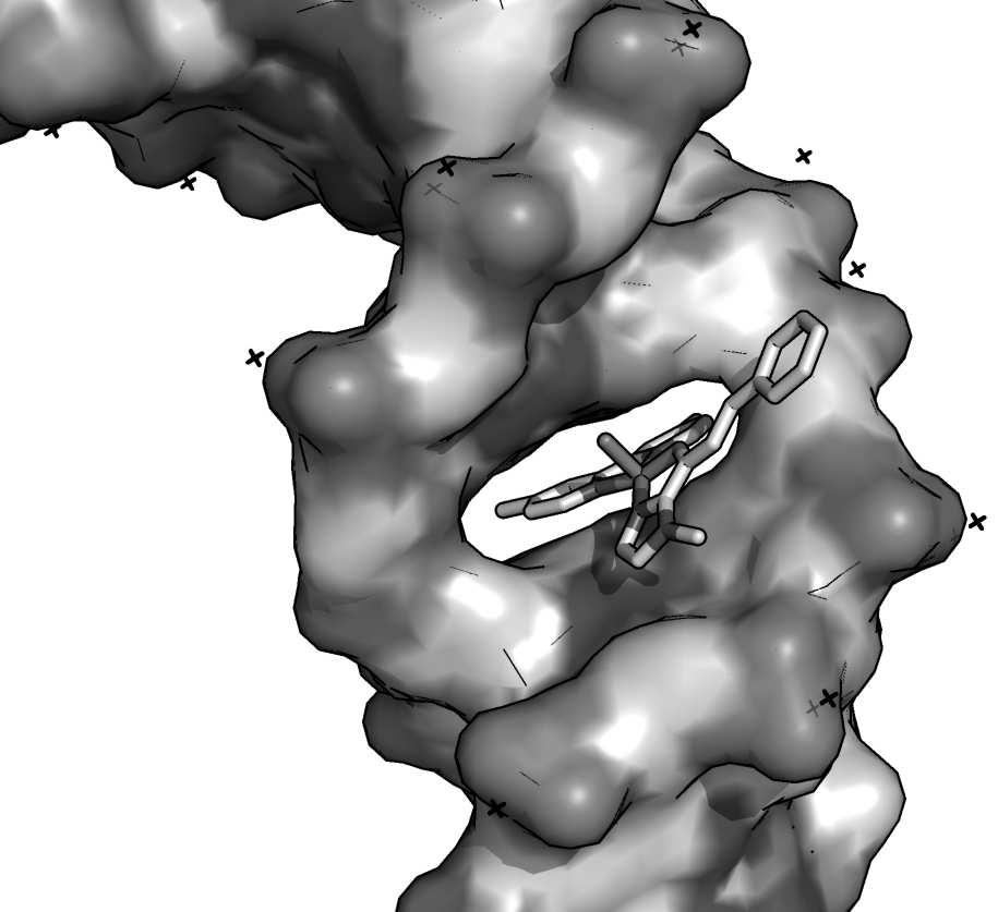 Om te begrijpen hoe DNA de asymmetrische informatie kan overdragen, is het cruciaal om de manier van binden van het ligand met koper, het koper-katalysator-complex, aan het DNA te bepalen.