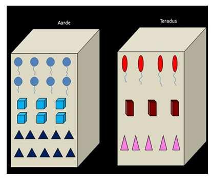 Methde Multiplicatieve taak Additieve taak Open taak : 2-4 : 2 r - 4 : 2-4 : 2 r - 4