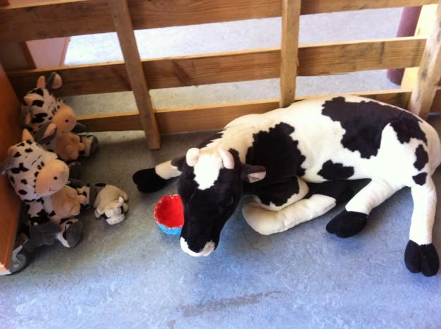 Deze hebben de kinderen getimmerd, samen met de opa van Matz en de moeder van Tygo.