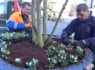 Door verschralende maatregelen neemt het aantal ongewenste soorten af en zien we tegelijk meer biodiversiteit. Door de toename van de biodiversiteit wordt zorgvuldig groenbeheer nog belangrijker.