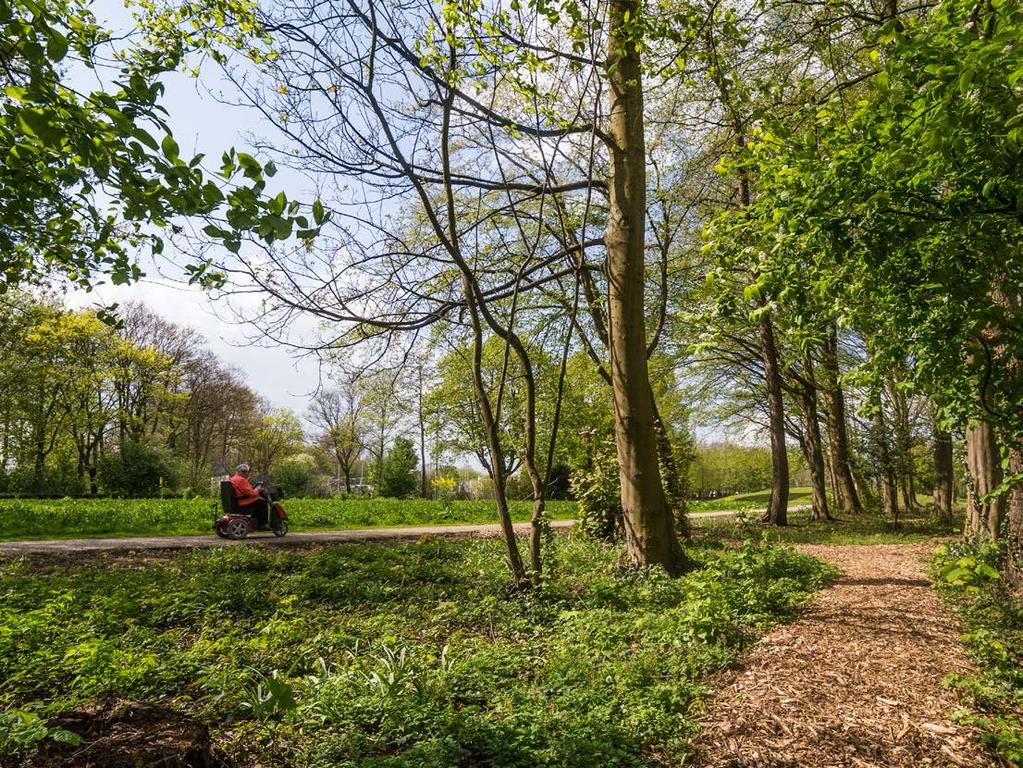 Een mooi voorbeeld van een burgerinitiatief (Stichting Koningspark) is het Koningspark.