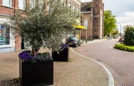 Nieuw cultuurgroen eeuwenoude landschappen en bomen 11.