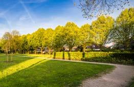 Onderstaand een overzicht Kwaliteitsniveaus A In de centra B In woonwijken Gazons in de woonkernen C Het buitengebied waarin beplanting met voornamelijk bosplantsoen Het wegbeheer, waaronder het