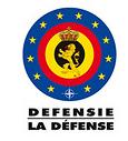 10 Defensie Federale overheid Verscheidene plaatsen van tewerkstelling in VLAANDEREN of BRUSSEL Hoofdstedelijk Gewest.