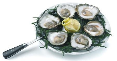 GILLARDEAU OESTERS Heerlijke oesters van het wereldberoemde oesterhuis Gillardeau! 6 stuks open 19,95 LAGUIOLE OESTERMES Om zelf uw oesters te openen.