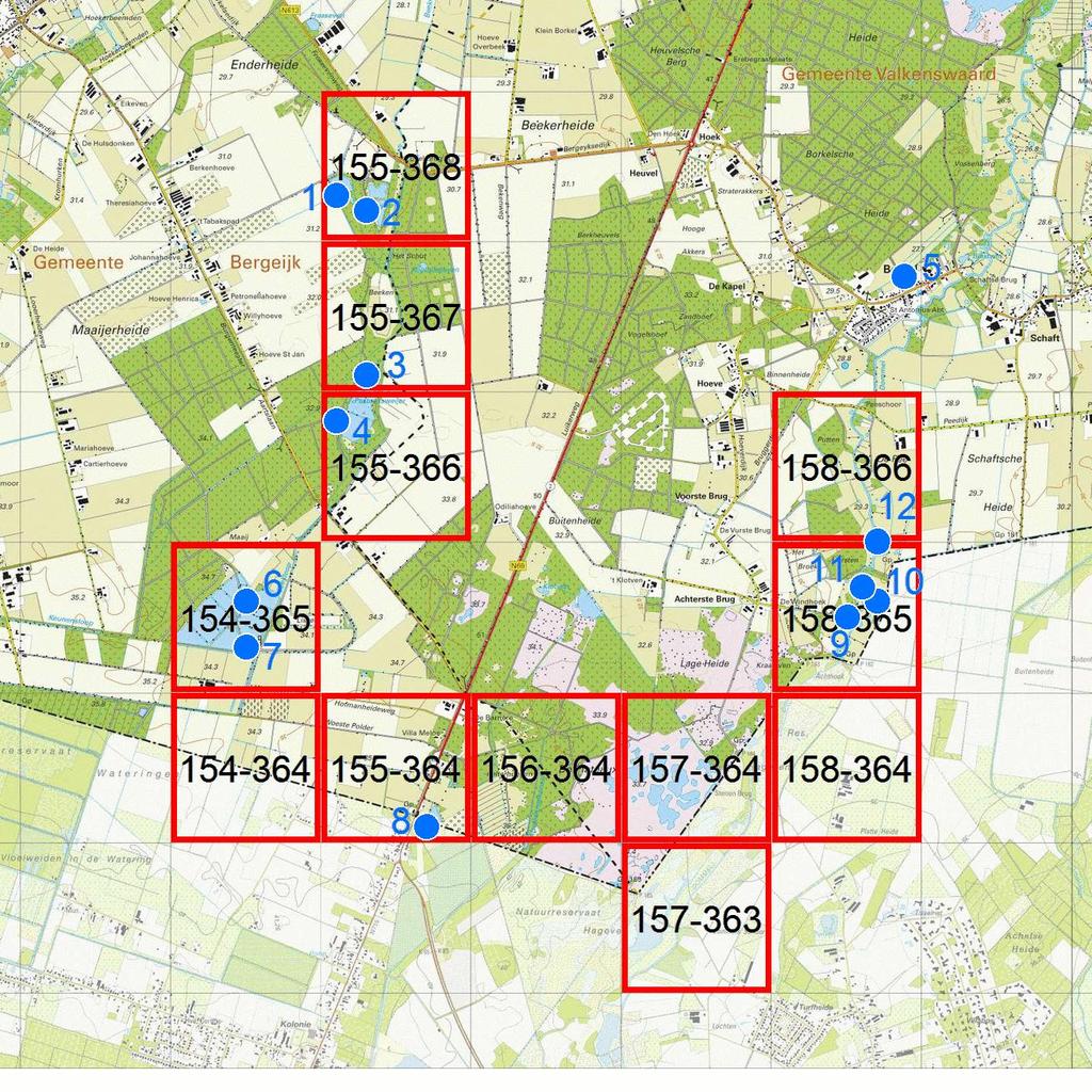 Amerikaanse brulkikker 2015 Bergeijk In de regio Bergeijk zijn vanuit het INVEXO-project 12 prioritaire kilometerhokken geselecteerd en 12 monsterpunten voor het edna-onderzoek (figuur 4).