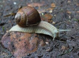 Vooral zaterdag wisselden de regenbuien af met zonnige perioden en vervolmaakten we onze techniek om de regenkledij aan en uit te trekken.