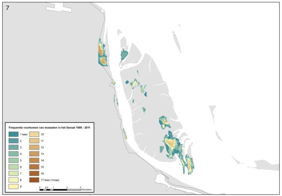 Het grootste oppervlakte aan zeegras werd gevonden in 2003 en sindsdien is het afnemend.