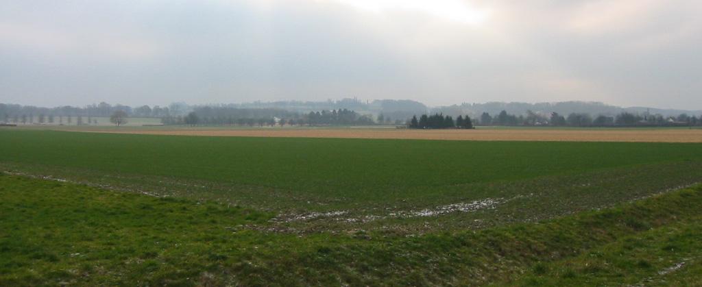 Middenterras met op achtergrond steilrand