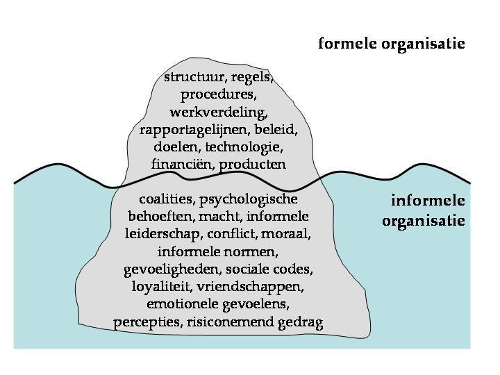 Organisationele dimensie Focus op organisatiestructuur en organisatiecultuur Ontwikkelen van