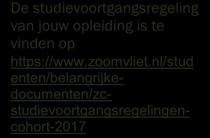 studievoortgangsgesprekken, een studieadvies is daar geregeld onderdeel van.