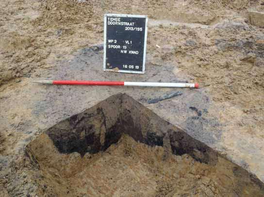 Temse Doornstraat Realisatie van een woonverkaveling. Wetenschappelijke begeleiding van een archeologische opgraving: juni augustus 2013. Dossiernummer: 2013/195.