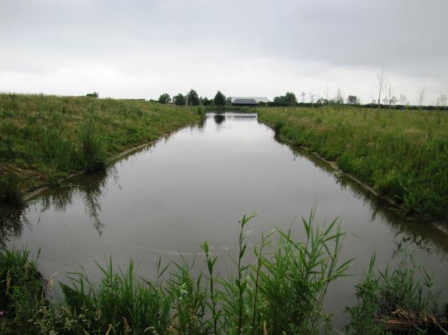 Kenmerk: 60162211/V01/ahu Pagina 4 van 9 Water Al het water op het landgoed De Vliet is nieuw aangelegd. De belijning oogt strak en refereert aan het cultuurlandschap.