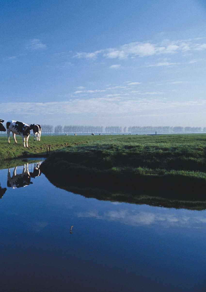 Inhoudsopgave De Waalsprong: helemaal Nijmegen 2 Alle vrijheid en ruimte voor úw creatie 4 Het Nijland: singels en woonparken 6 Verkavelingskaarten 8 Richtlijnen met veel speelruimte 12 Hoe gaat de