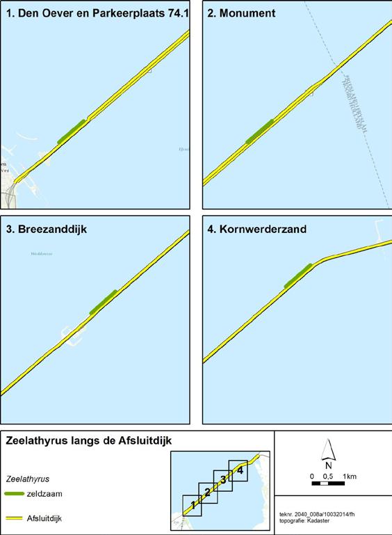 A&W-rapport 2001 Inventarisatie van beschermde soorten op en langs de Afsluitdijk in 2013-2014 9 Figuur 2.3. Verspreiding van Zeelathyrus in het onderzochte traject van de Afsluitdijk.