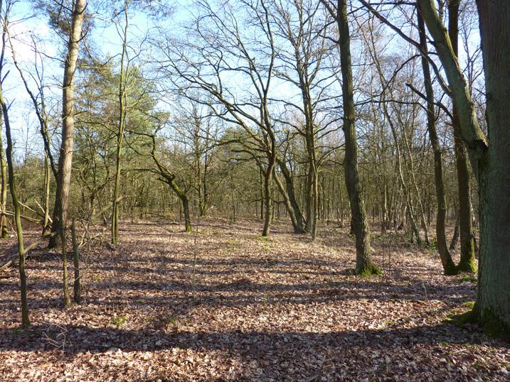 De grootste parkeervoorziening is deze van de Kesselse heide aan de zijde van Kessel-statie.