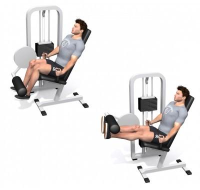 Seated leg extension Set 1 20 x kg Set 2 20 x kg 20 x kg Coach notitie: Superset met standing calf raise machine (scheelt tijd).
