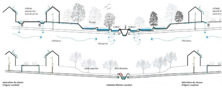 Het alternatief beheer van regenwater Overstromingen voorkomen Herstel van de grondwaterreserves De kwaliteit van het water en de bodem garanderen De watercyclus tot zijn recht laten komen Bron: