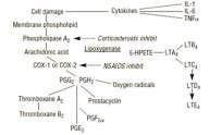 NSAID useful?