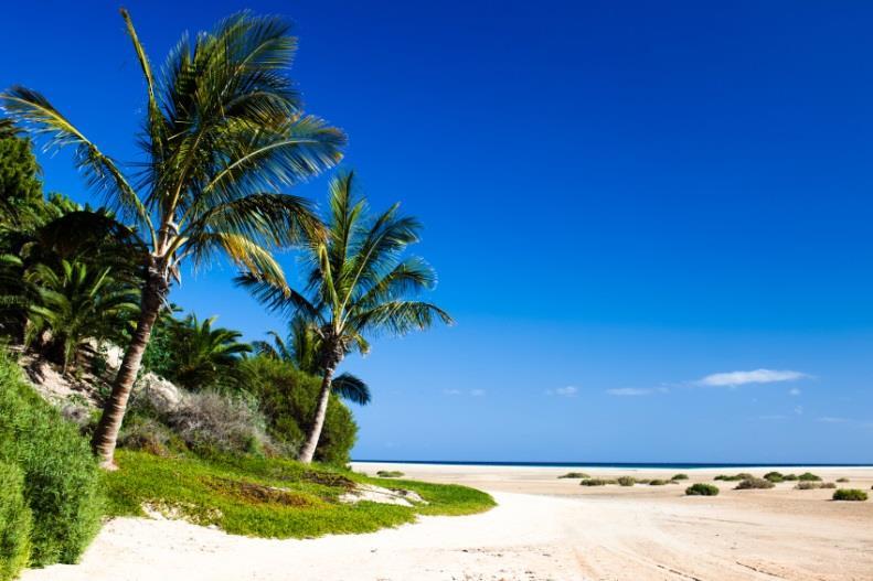 Fuerteventura Het eiland Fuerteventura staat vooral bekend om zijn uitgestrekte, goudgele en soms witte stranden welke gezien worden als de mooiste stranden van de Canarische Eilanden.