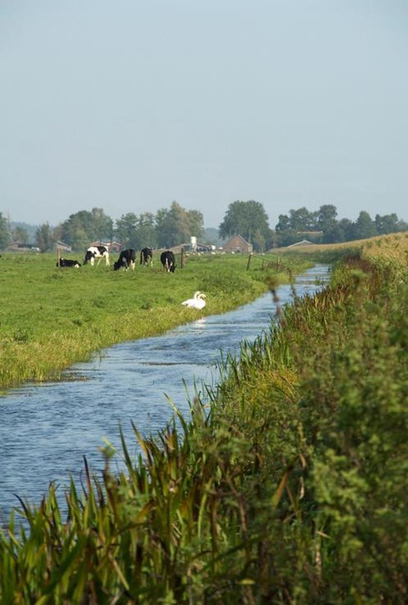 Lessen uit 25 jaar LMM: Grote stappen gezet, maar we zijn er nog niet Generiek landelijk beleid nog