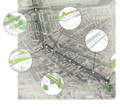 De inzet van De Natuurlijke Stad kreeg een direct vervolg, de gemeente Rotterdam raakte geïnteresseerd en vroeg hen om nog verder te gaan en de strategie Groene promenade voor de Hofpleinlijn te