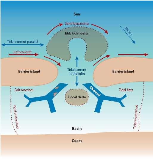 Model van een Wadden Getijde Systeem Subsystems: