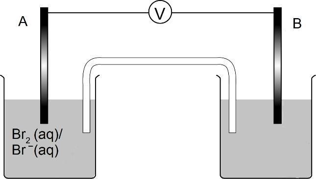 3 Leg uit waar de zoutbrug voor dient. 4 Verklaar het optreden van een potentiaalverschil tussen de elektroden. 5 Beredeneer wat in dit element de positieve elektrode is.