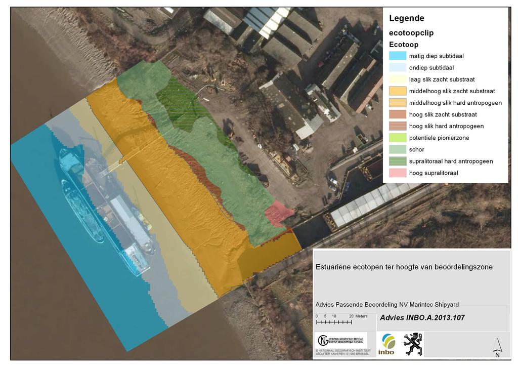 Figuur 1. Estuariene ecotopen ter hoogte van de beoordelingszone (Ecotopenkaart 2010, INBO) 1.2 Aanwezige vegetatie INBO beschikt niet over een recente vegetatiekaart van de beoordelingszone.