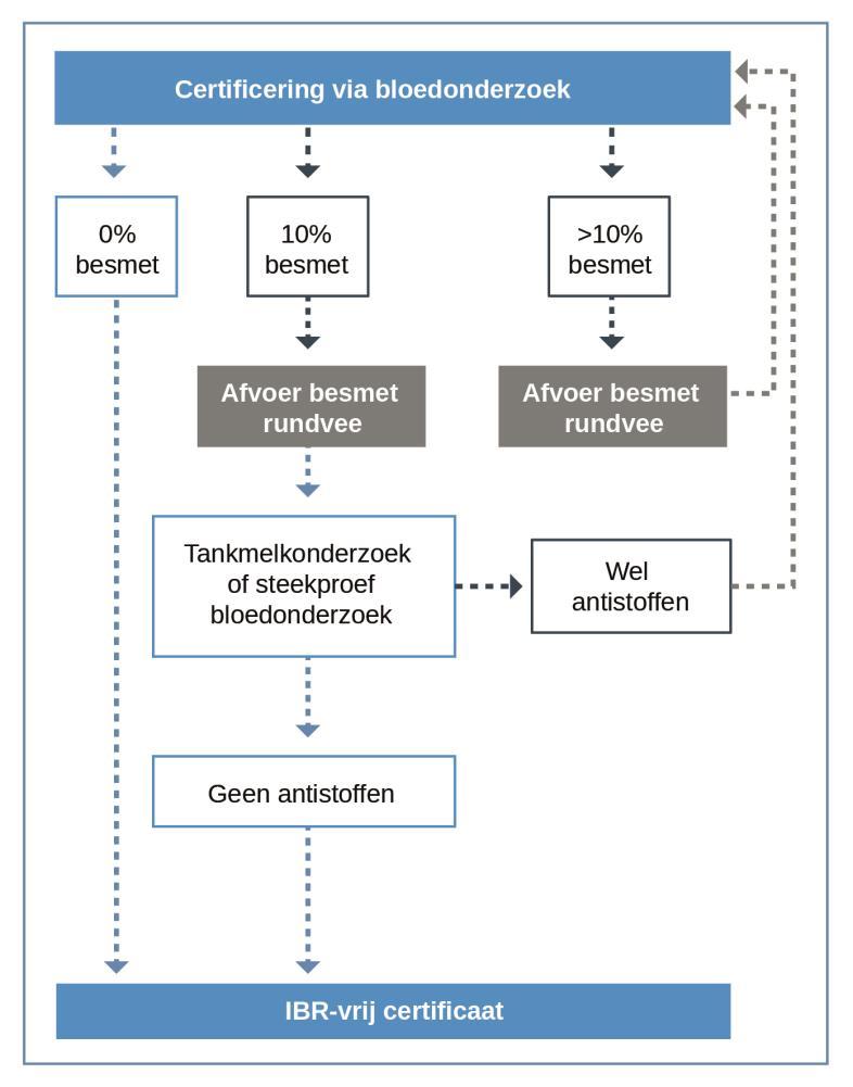 8.2.2 Certificeren via bloedonderzoek Dit traject is met name bestemd voor melkveebedrijven met een lage besmettingsgraad die snel een IBR-vrij certificaat willen verkrijgen en voor