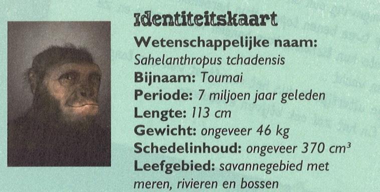 10 Een van de oudste soorten die op twee benen liep.