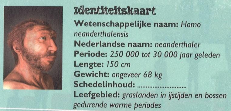 Hij had veel grotere hersenen en langere benendan de Australopithecus.