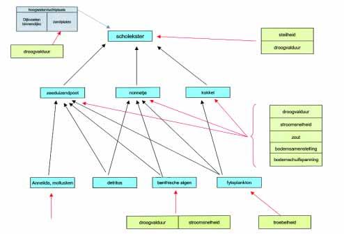 Troebelheid Zie slibmodel hiervoor en/of OMES met slib gerekend.