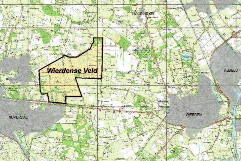 Hilde Tomassen, Loekie van Tweel-Groot & Fons Smolders Vernattingsmaatregelen in het Wierdense Veld: van experiment naar praktijk De afgelopen decennia zijn op grote schaal hydrologische maatregelen