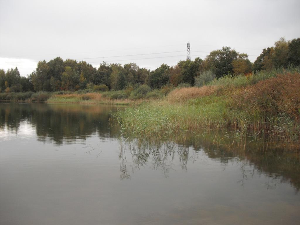 32 Koeman en Bijkerk rapport 2010-044 Verspreiding Ondergedoken waterplanten hebben we in Het Lageveld gevonden tot op een diepte van 4 m onder de waterspiegel; het ging hierbij om Teer kransblad.