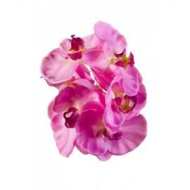40 cm Vanda Orchidee crème 95