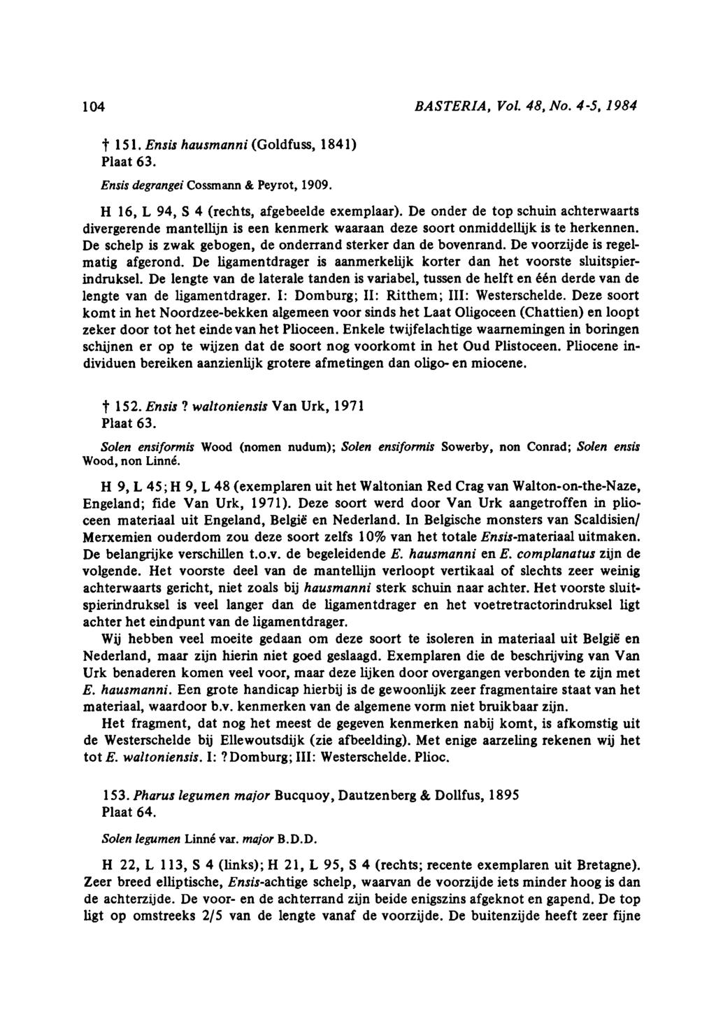 104 BASTERIA, Vol. 48, No. 45, 1984 151. Ensis hausmanni(goldfuss, 1841) Plaat 63. Ensis degrangeicossmann & Peyrot, 1909 H 16, L 94, S 4 (rechts, afgebeelde exemplaar).