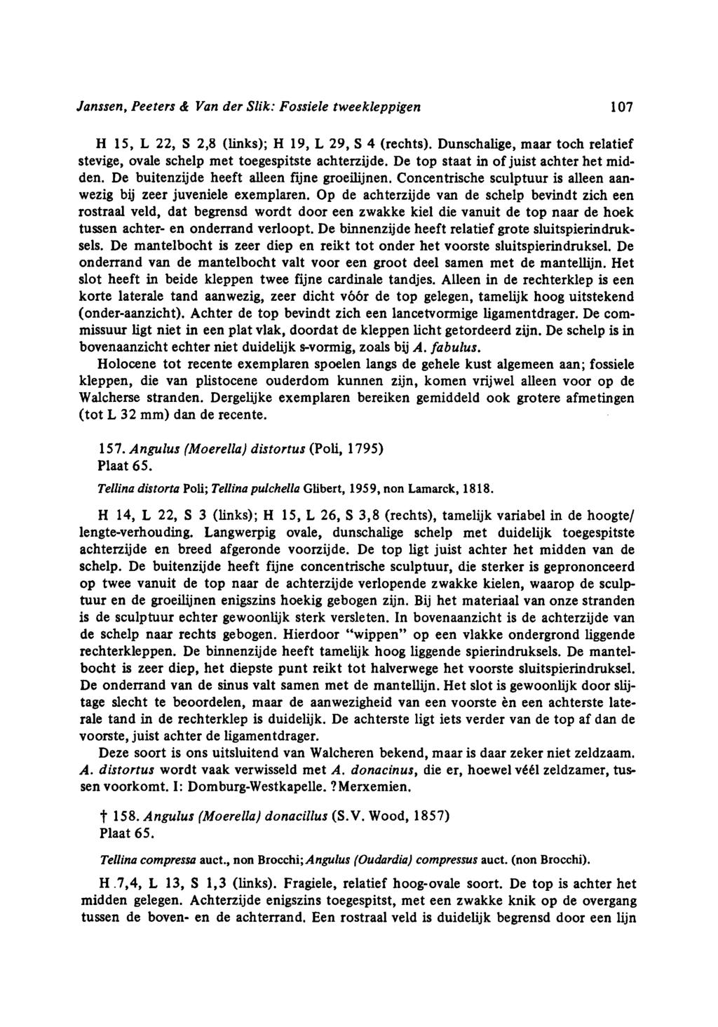 Janssen, Peeters & Van der Slik: Fossiele tweekleppigen 10 H 15, L 22, S 2,8 (links); H 19, L 29, S 4 (rechts). Dunschalige, maar toch relatief stevige, ovale schelp met toegespitste achterzijde.