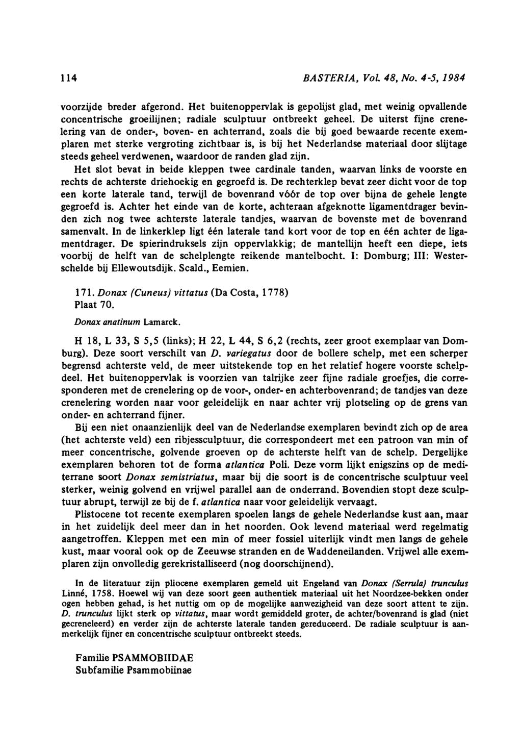 114 BASTERIA, Vol. 48, No. 45, 1984 voorzijde breder afgerond. Het buitenoppervlak is gepolijst glad, met weinig opvallende concentrische groeilijnen; radiale sculptuur ontbreekt geheel.