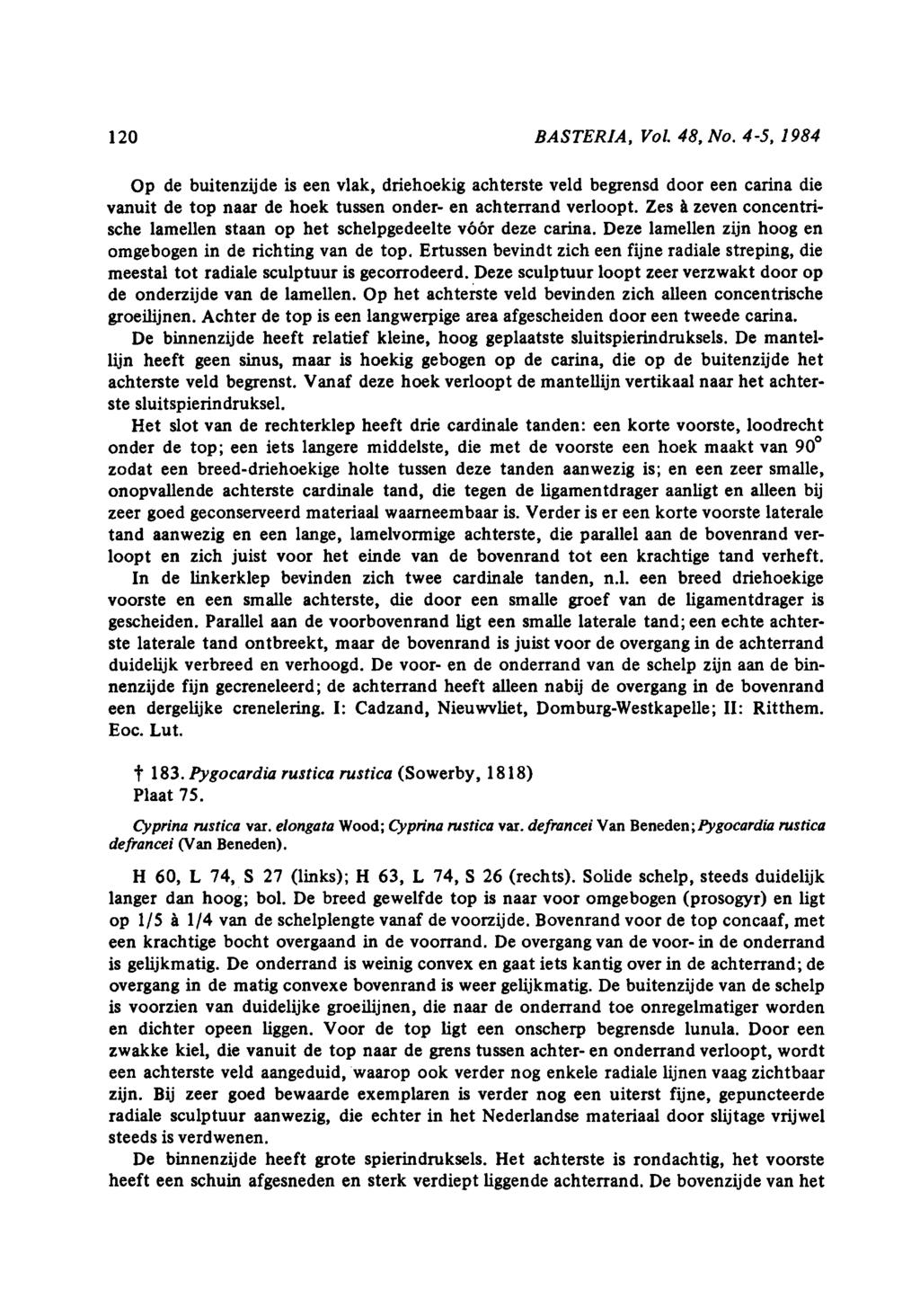 120 BASTERIA, Vol. 48, No. 45, 1984 Op de buitenzijde is een vlak, driehoekig achterste veld begrensd door een carina die vanuit de top naar de hoek tussen onder en achterrand verloopt.