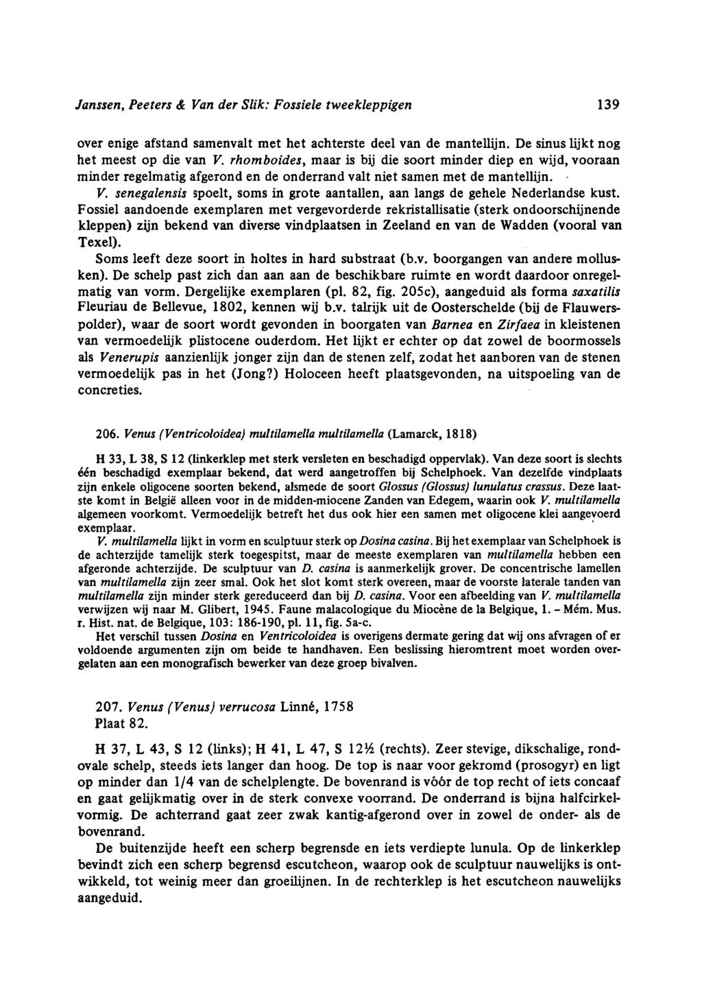 Mém. Janssen, Peeters & Van der Slik: Fossiele tweekleppigen 139 over enige afstand samenvalt met het achterste deel van de mantellijn. De sinus lijkt nog het meest op die van V.