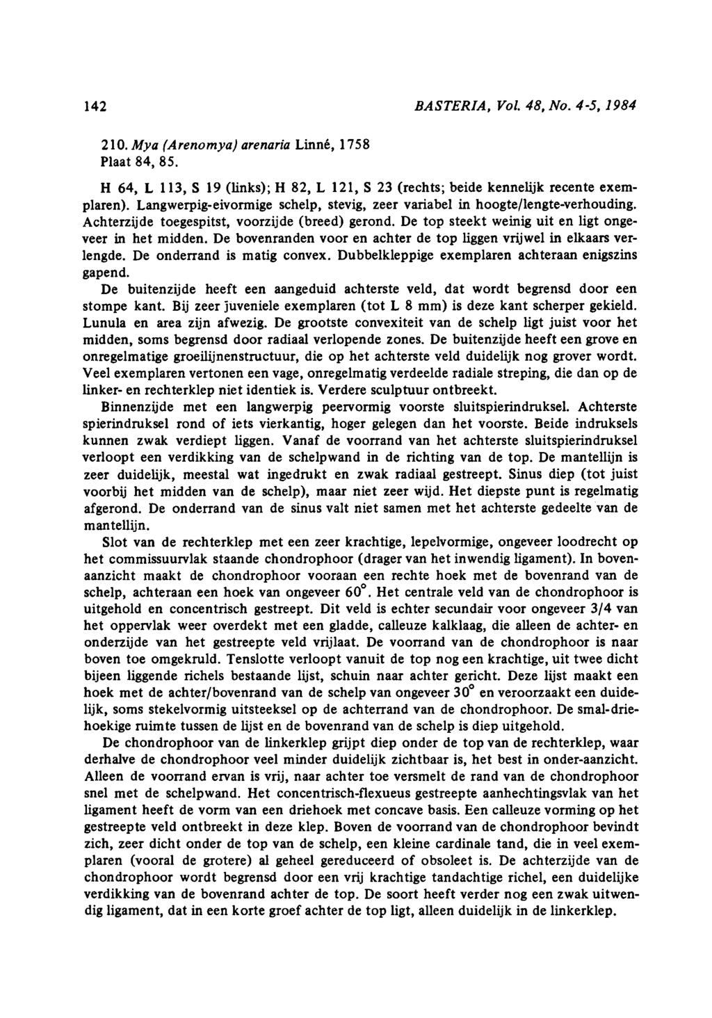 142 BASTERIA, Vol. 48, No. 45, 1984 210. Mya (Arenomya) arenaria Linné, 158 Plaat 84, 85. H 64, L 113, S 19 (links); H 82, L 121, S 23 (rechts; beide kennelijk recente exemplaren).