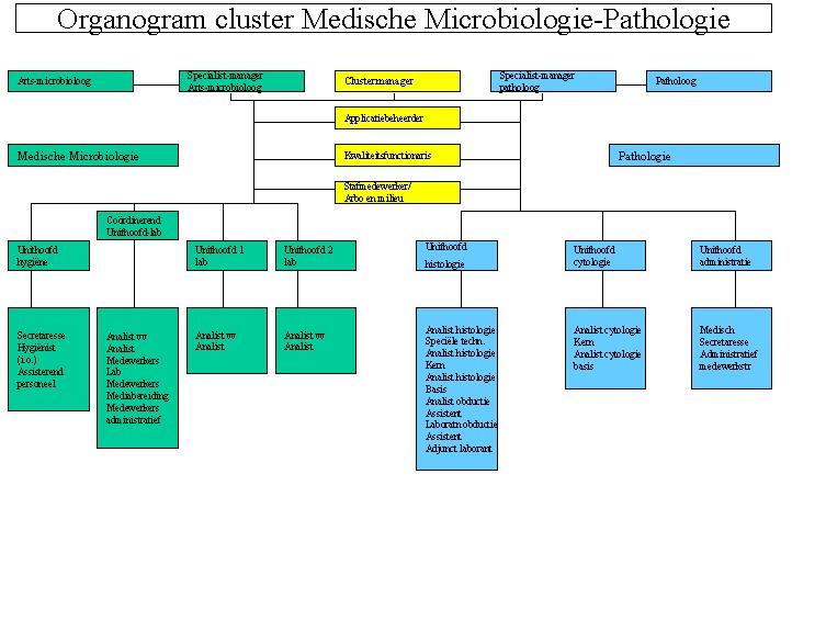 2.2 Organogram Het Laboratorium voor Pathologie heeft een tweehoofdige leiding, de clustermanager en de specialistmanager.